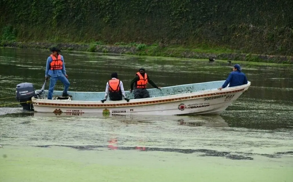 Imagen Contaminación en Lago de Las Ánimas por descargas sin control, advierte Inecol