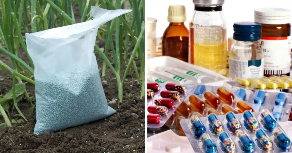 Imagen No solo el petróleo: guerra en Irán afectará suministro de alimentos, fertilizantes y medicinas a nivel global