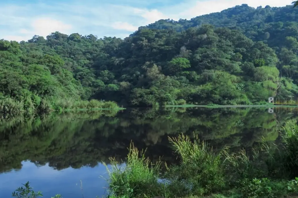 Imagen Conmemoran el 88 aniversario del Parque Nacional Río Blanco, en Orizaba