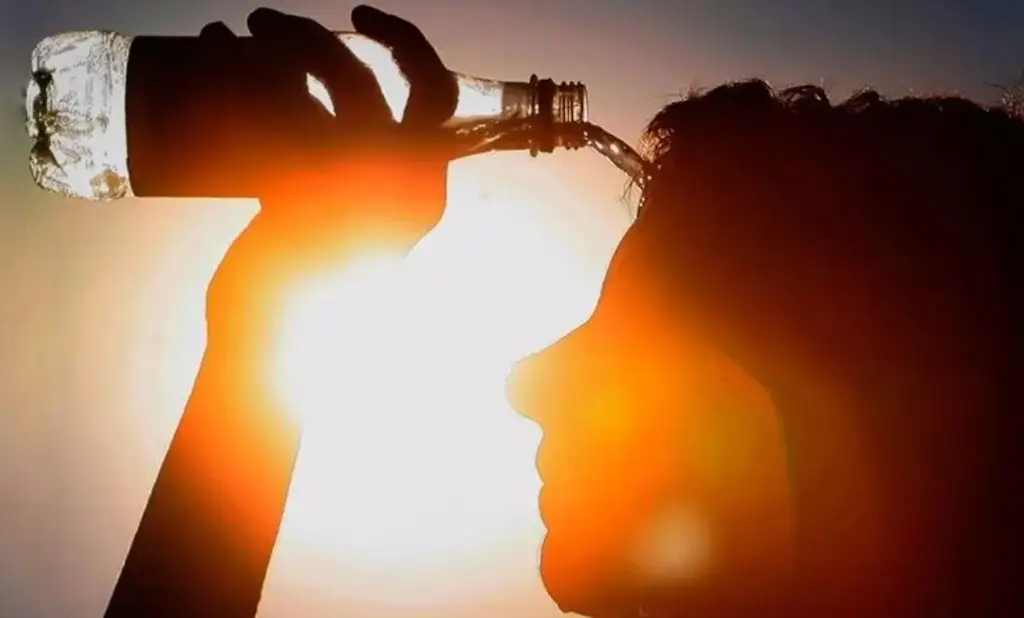 Imagen Los últimos 11 años fueron los más calurosos desde que hay registros, advierte la OMM