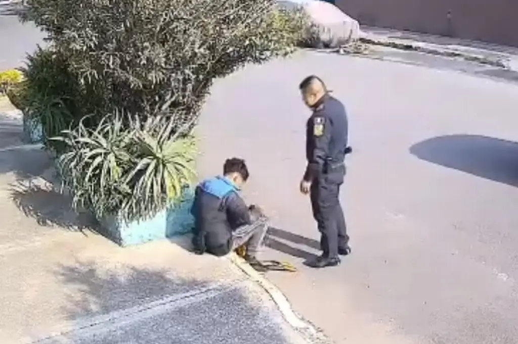 Imagen Captan a policía que golpea a joven jardinero que descansaba (+Video)