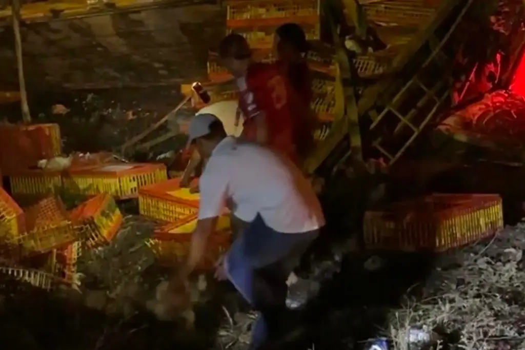 Imagen Vuelca trailer cargado de pollos; la gente hace rapiña