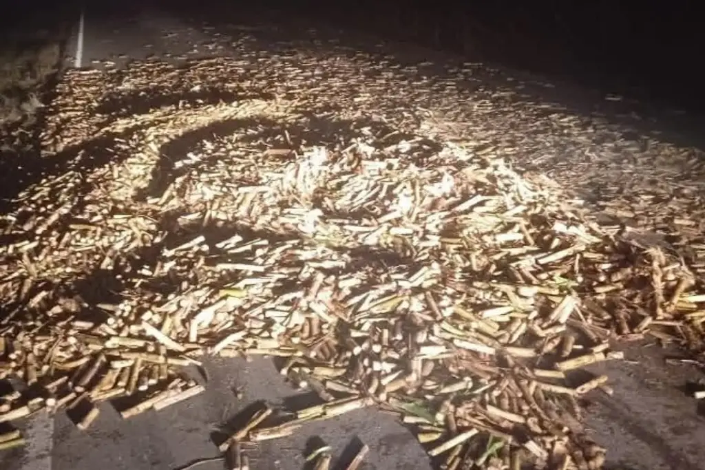 Imagen Mueren 2 dentro de auto aplastados por camión cargado de caña en Cotaxtla