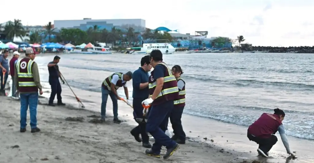Imagen Recolectan más de 120 kg de petróleo en playas de Veracruz 
