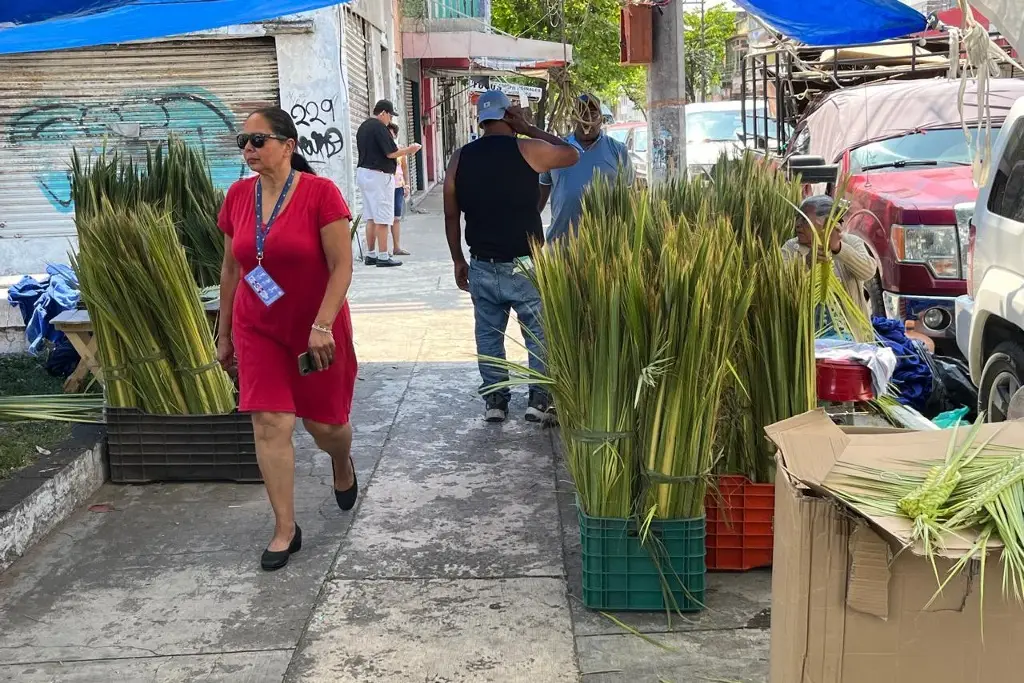 Imagen Una tradición desde que tenía 8 años; tejer palmas para el Domingo de Ramos