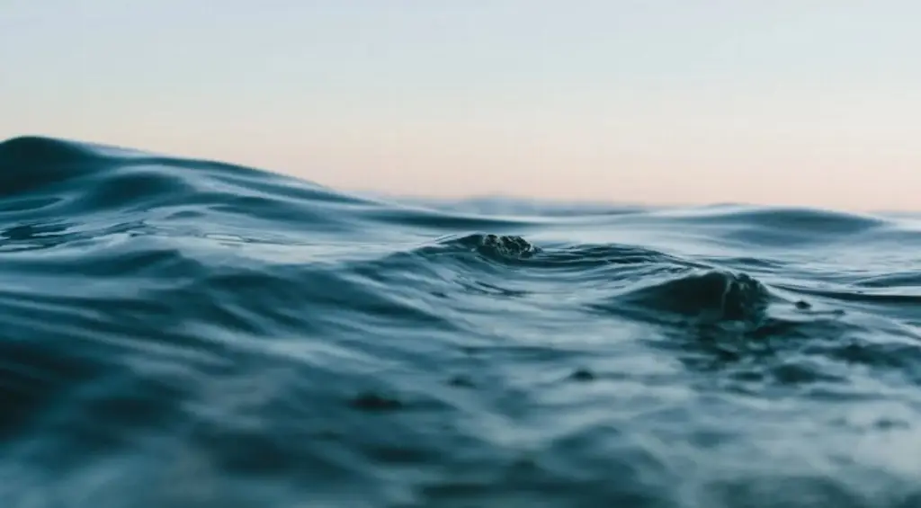 Imagen Muere menor de edad; fue arrastrada mar adentro en playa al sur de Veracruz 