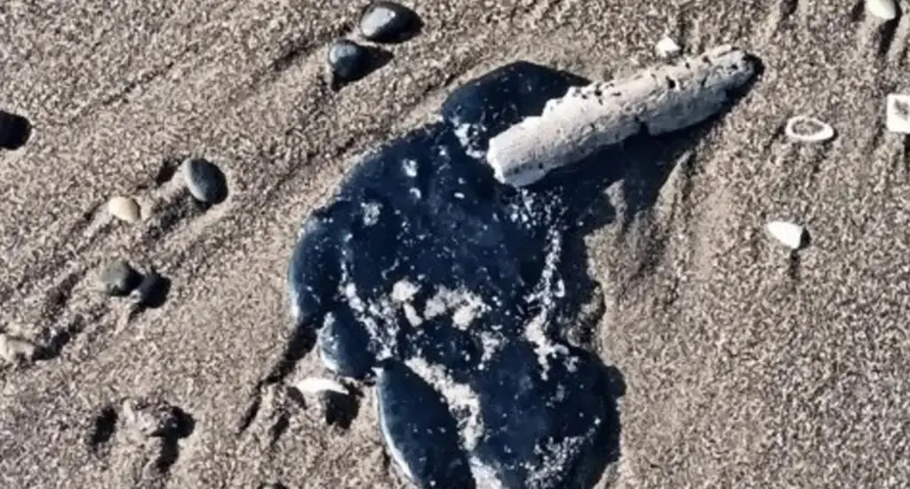 Imagen Esto se sabe sobre las manchas de petróleo en ríos y lagunas de Paraíso, Tabasco 