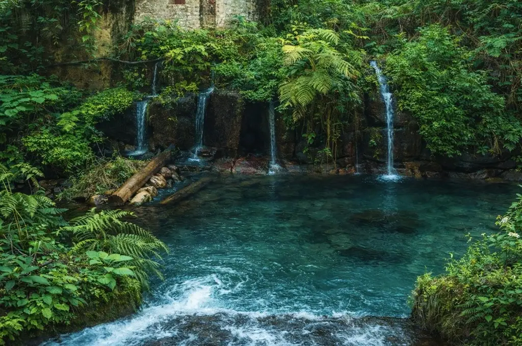 Imagen ¿Prohibieron pescar durante dos años en estos ríos de Veracruz?