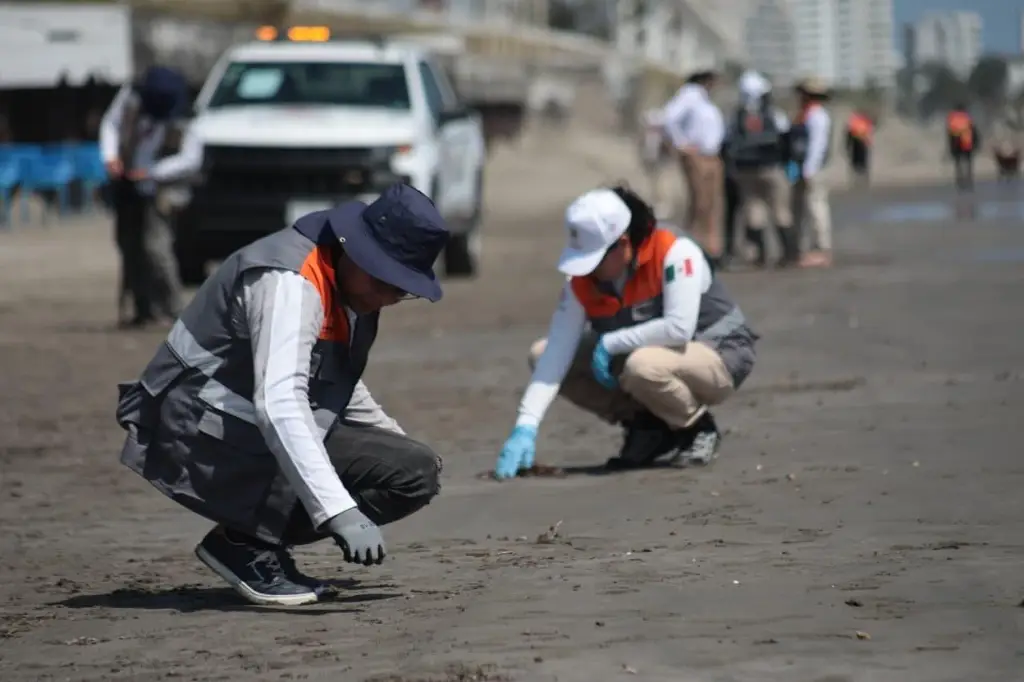 Imagen Playa Santa Ana se mantiene limpia: PC