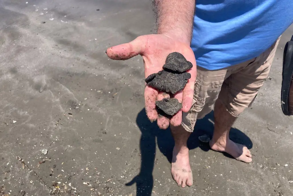 Imagen Ciudadanos acuden a playas de Veracruz y esto opinan sobre limpieza de petróleo