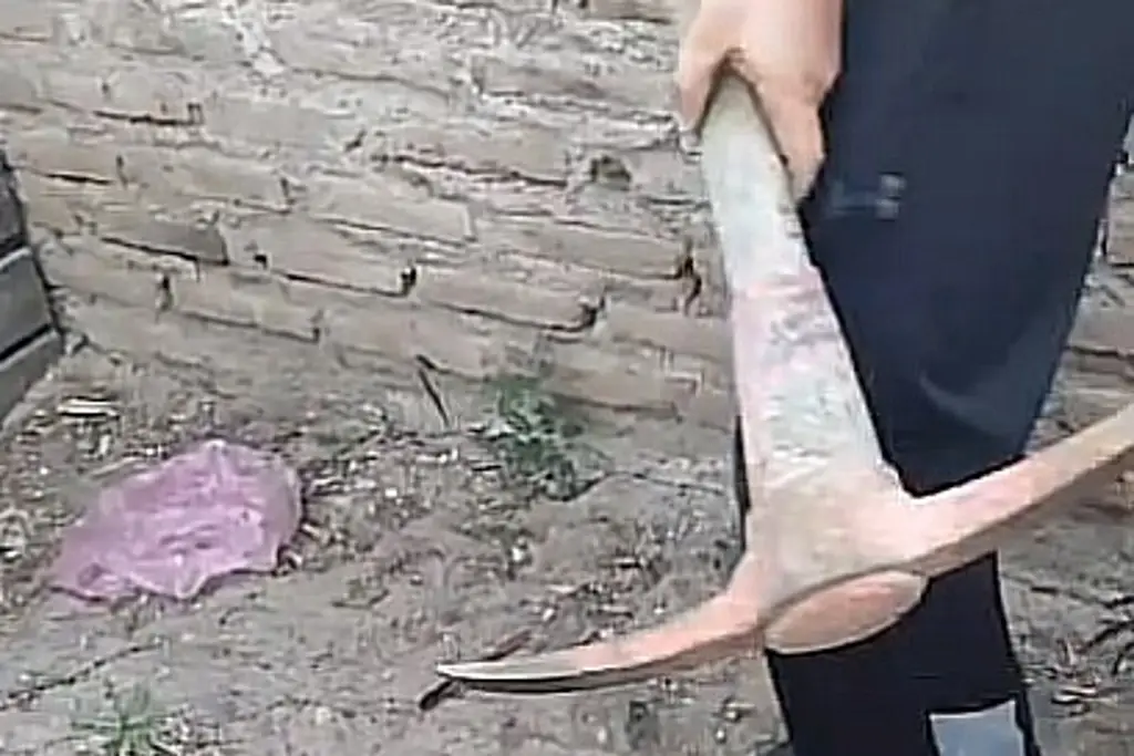 Imagen Encuentran ocho cuerpos en fosas clandestinas en Guaymas, Sonora