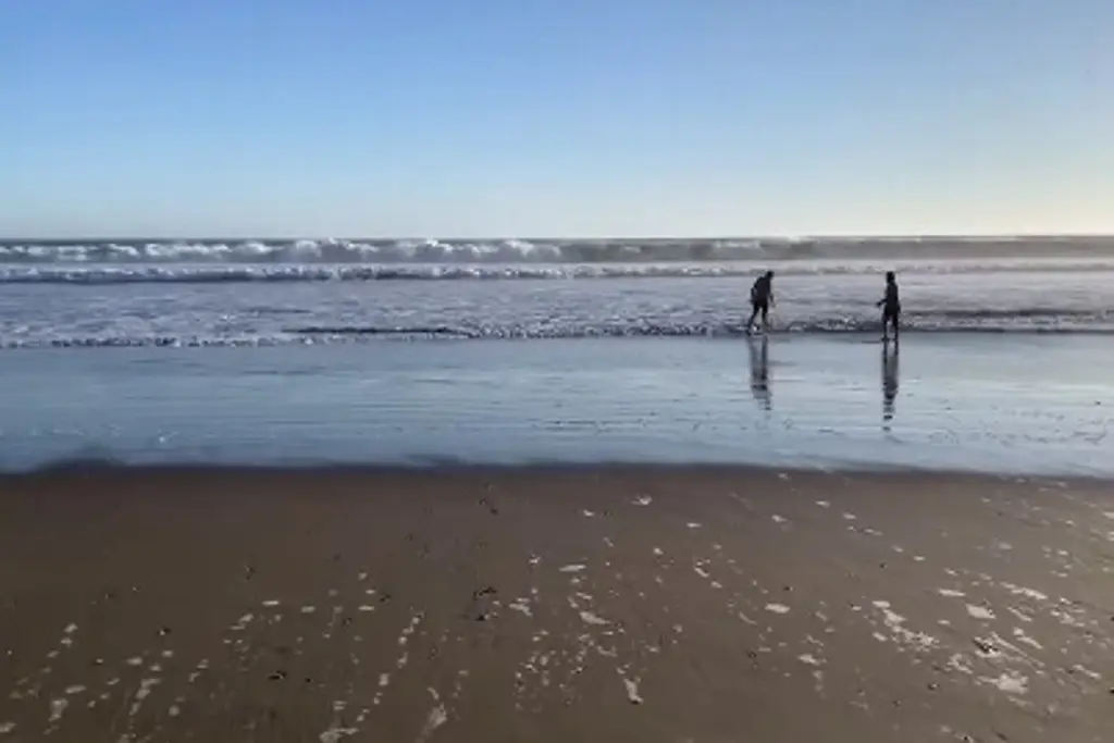 Imagen ¿Cerraron las playas de Alvarado por el derrame de petróleo?