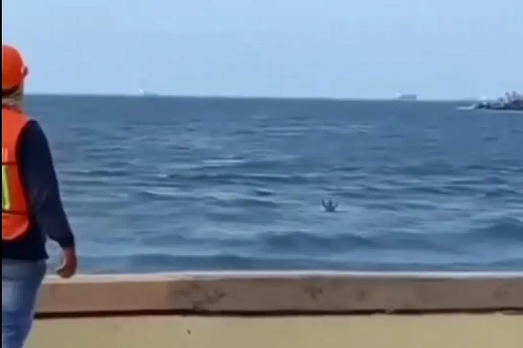 Imagen No dudó en lanzarse para rescatar a Sherlyn Briyith: 'él también pudo morir'