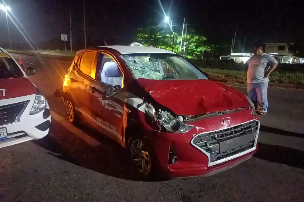 Imagen Choca con una vaca, denuncia y nadie responde por los daños 