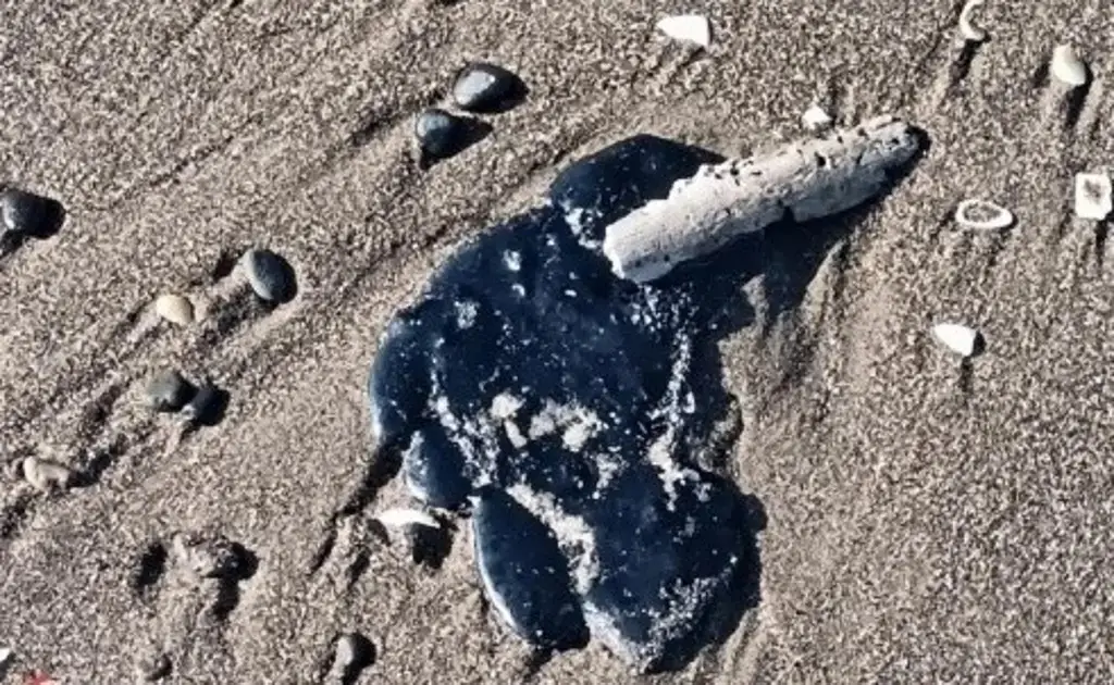 Imagen ¿Qué hacer si tocas el petróleo derramado en el mar?