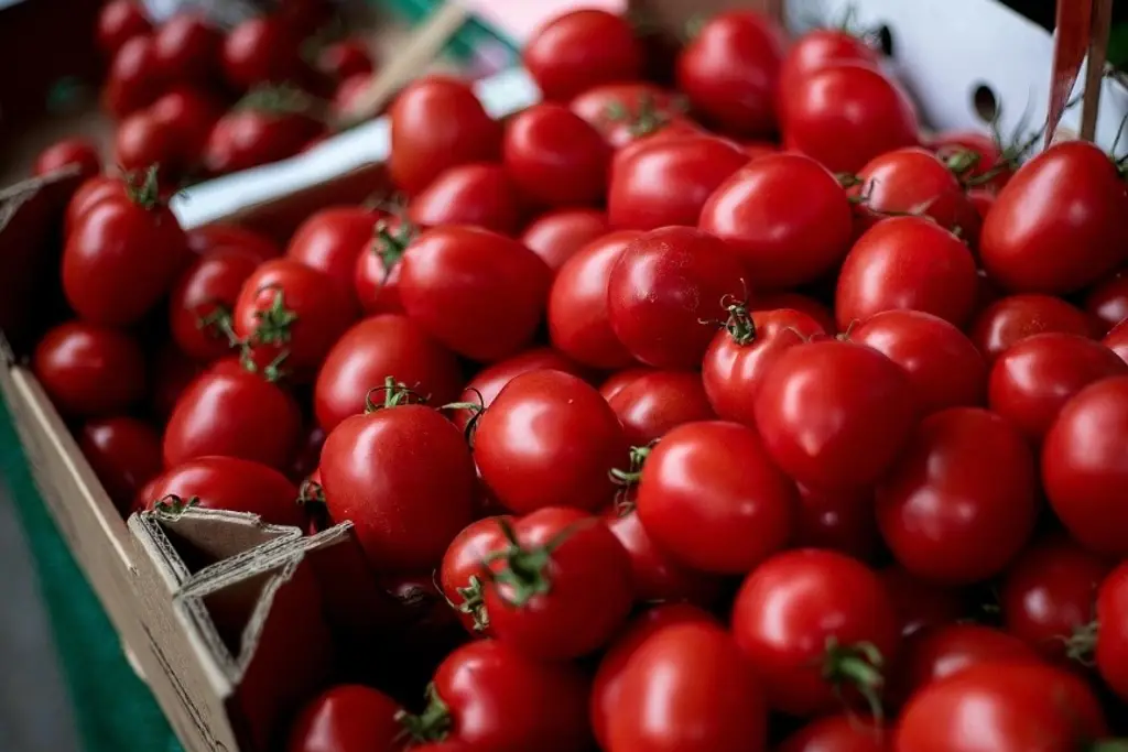 Imagen No solo es el tomate, todos estos productos han duplicado sus precios en mercados de Veracruz