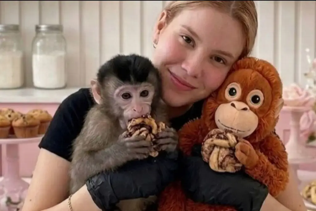 Imagen Encuentra a influencer reportada como desaparecida en Sinaloa 