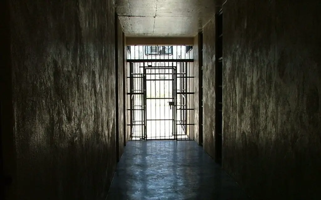 Imagen Exdirector de Servicios Periciales de Veracruz es declarado culpable; de esto lo acusan 