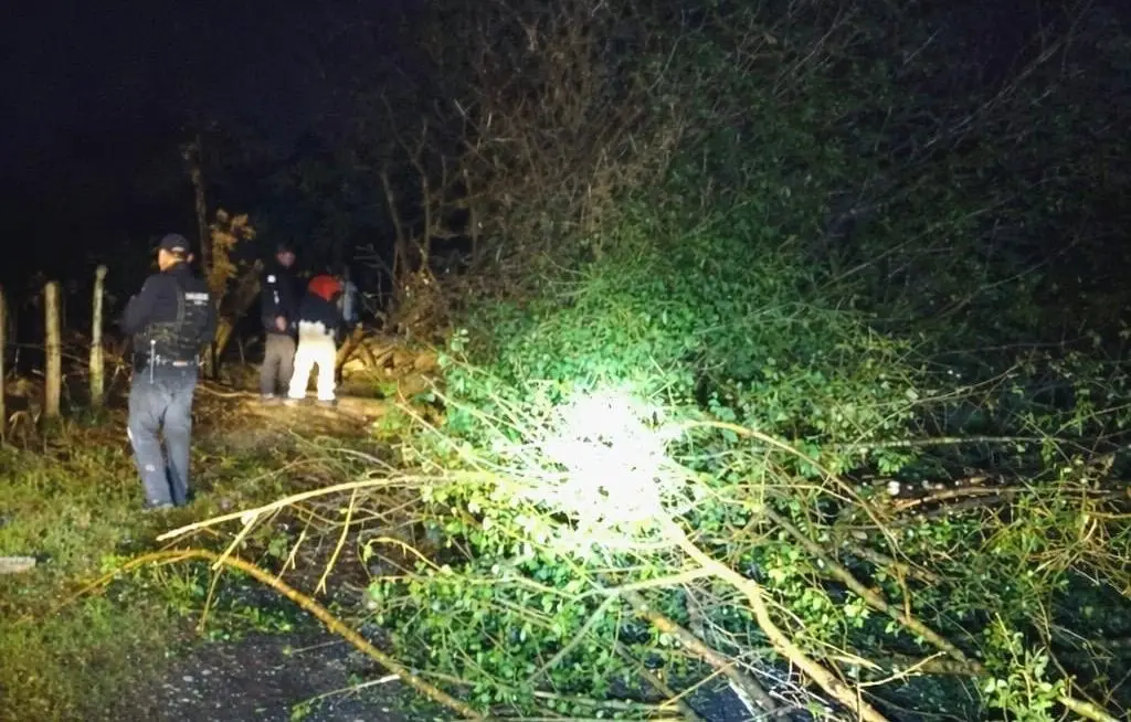 Imagen ¿Qué fenómeno derribó casas y árboles en Tierra Blanca? 