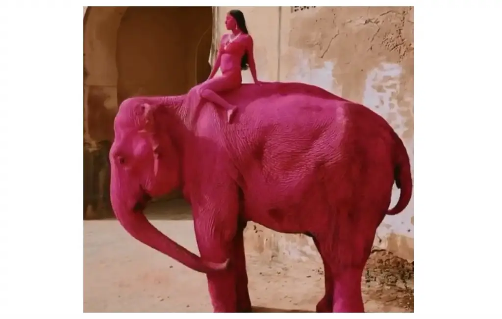 Imagen Muere elefante que había sido pintada de rosa por fotógrafa para sesión en la India