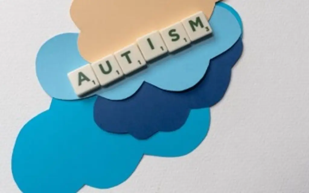 Imagen Esto debes de saber acerca del autismo: cómo tratarlo y sus síntomas 