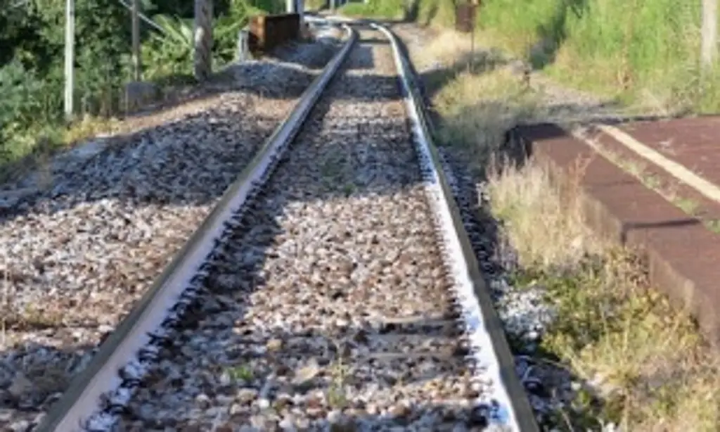 Imagen Tren arrastra carro en Veracruz; reportan 4 lesionados, 2 son de Taiwán 