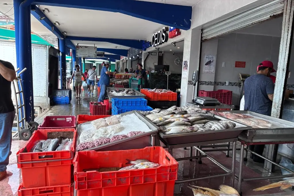 Imagen Cae la venta de pescado en Veracruz; la gente revisa que no esté contaminado antes de comprar