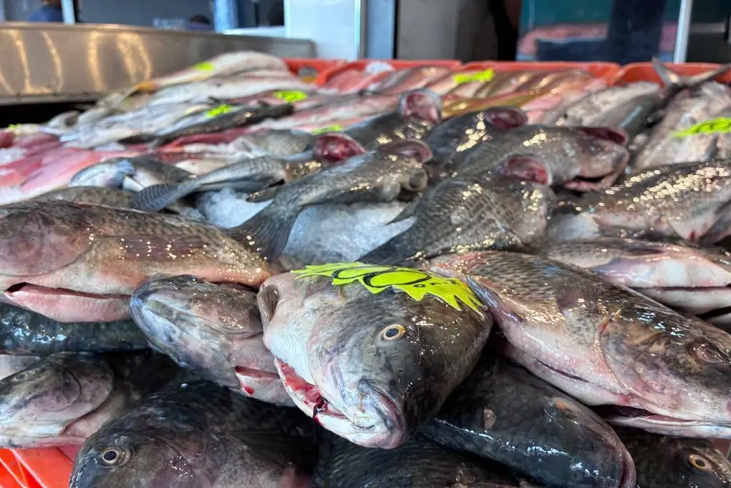 Imagen Estos son los precios de pescado y mariscos en Veracruz