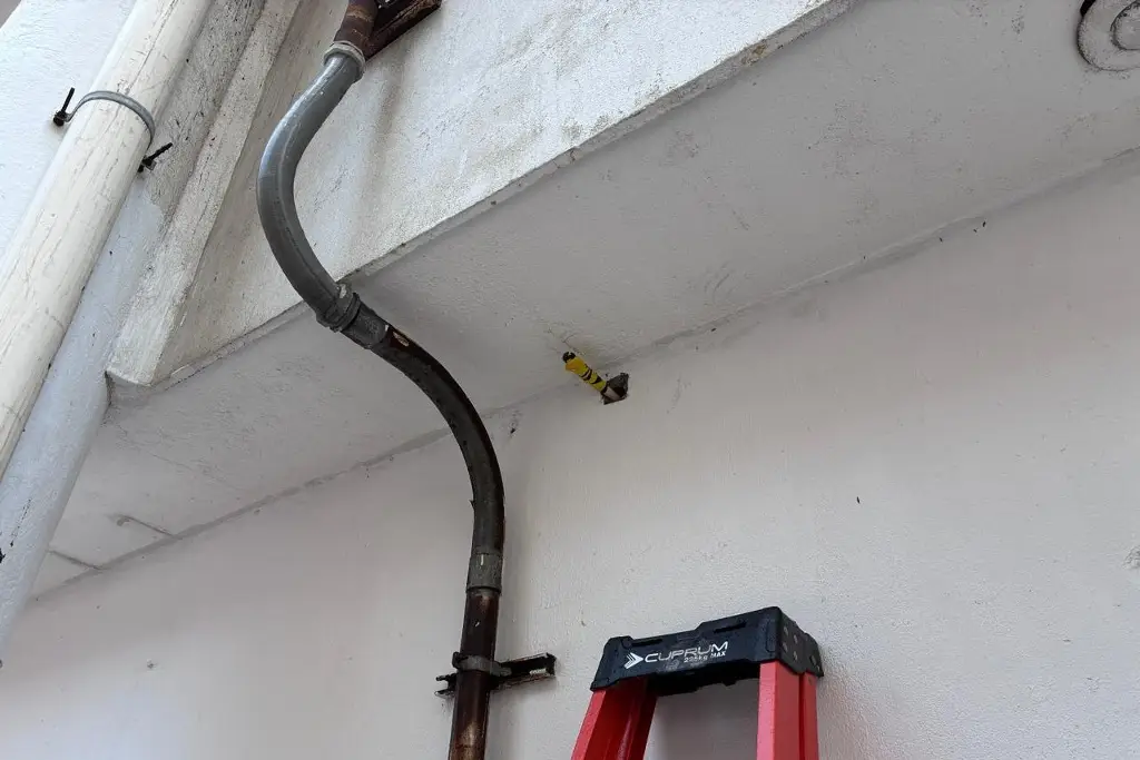 Imagen Roban manguera y provocan fuga en tienda del centro de Veracruz