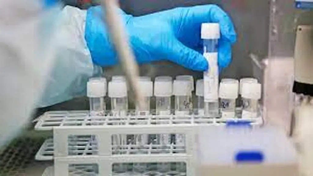 Imagen Nanopartícula desarrollada en universidad española abre una vía contra el cáncer