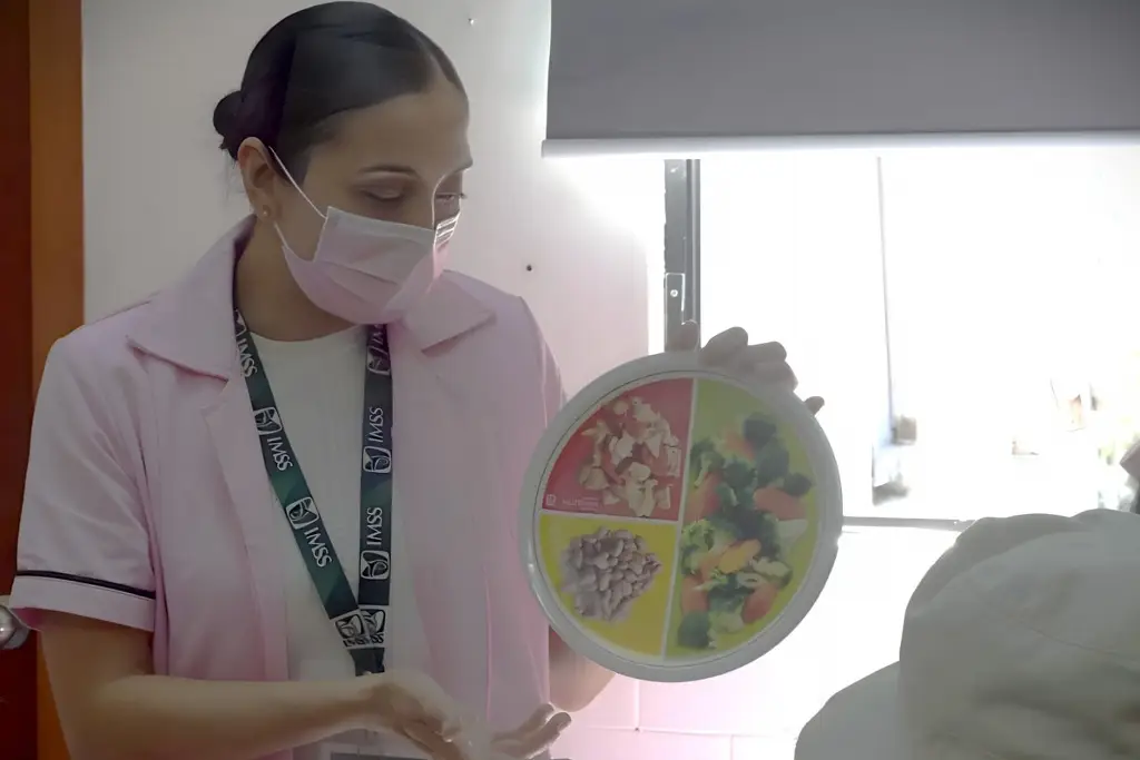 Imagen Para una alimentación equilibrada, IMSS Veracruz recomienda el 'Plato del Bien Comer'