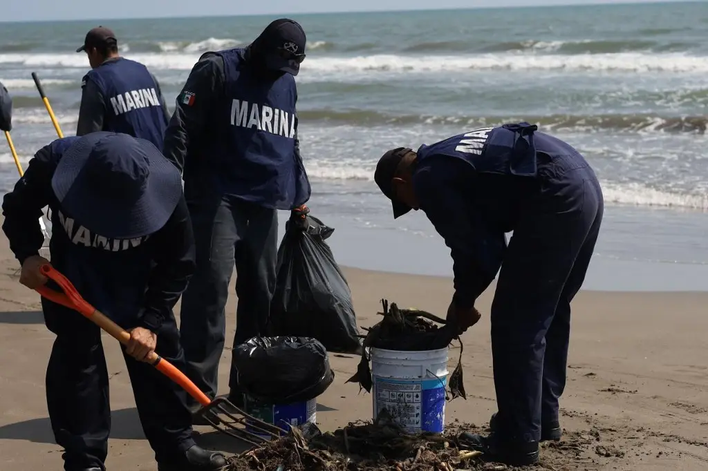Imagen Realizan limpieza de playas de Alvarado, Veracruz 
