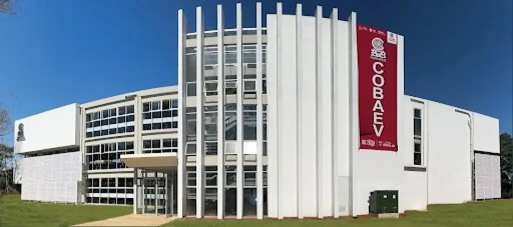 Imagen Acusan retraso en pago a trabajadores del COBAEV