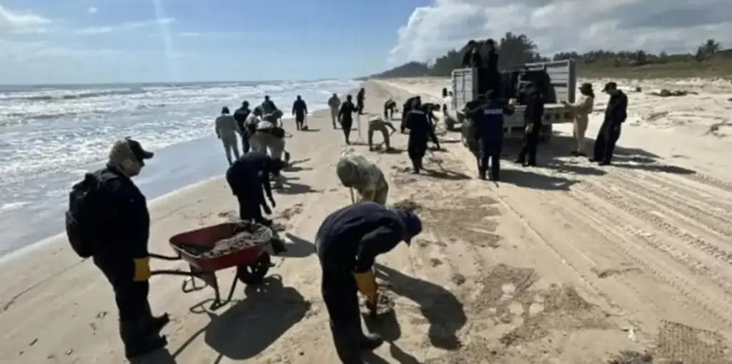 Imagen No es posible que derrame de petróleo provenga de un barco: Analista 
