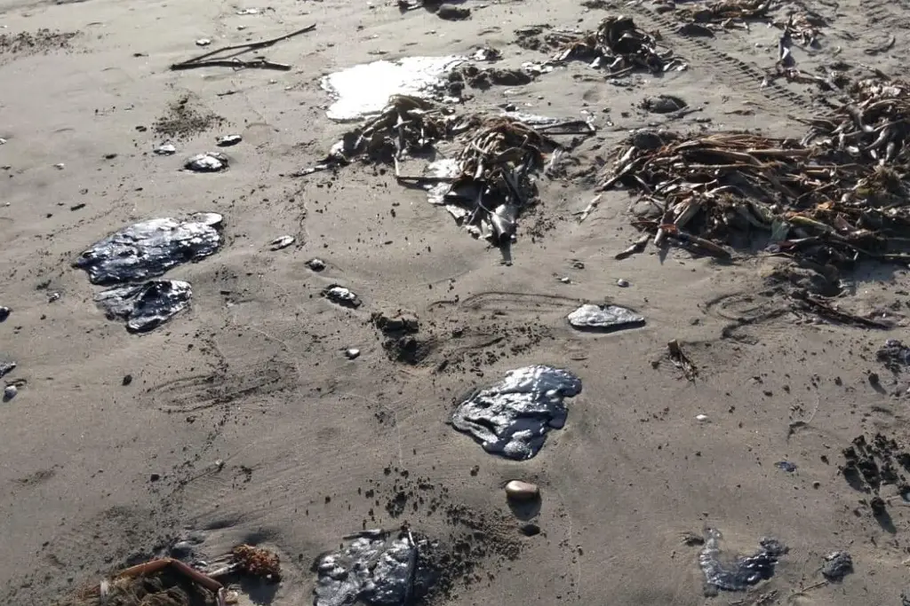 Imagen Manuel Huerta: Derrame en Veracruz debió atenderse con mayor sensibilidad