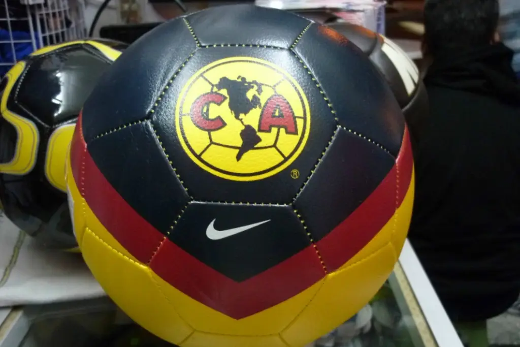 Imagen ¿Por qué el avión del Club América aterrizó de emergencia en Miami?