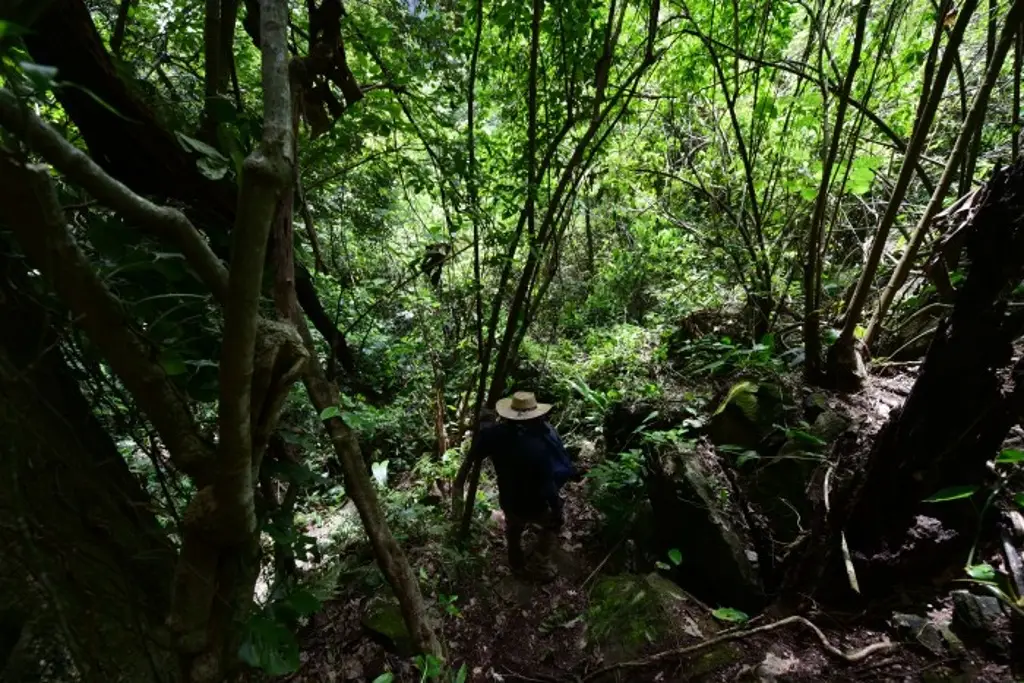 Imagen Exigen investigar cadena de mando por caso del expolicía David Lara Cruz 