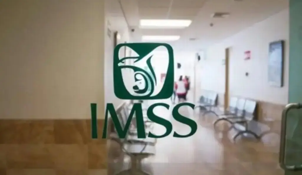 Imagen Reportan disminución en el registro patronal ante el IMSS 