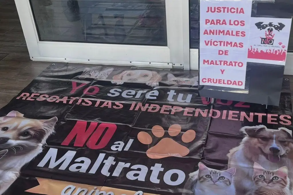 Imagen Buscan crear registro público de personas con antecedentes de maltrato animal en Veracruz