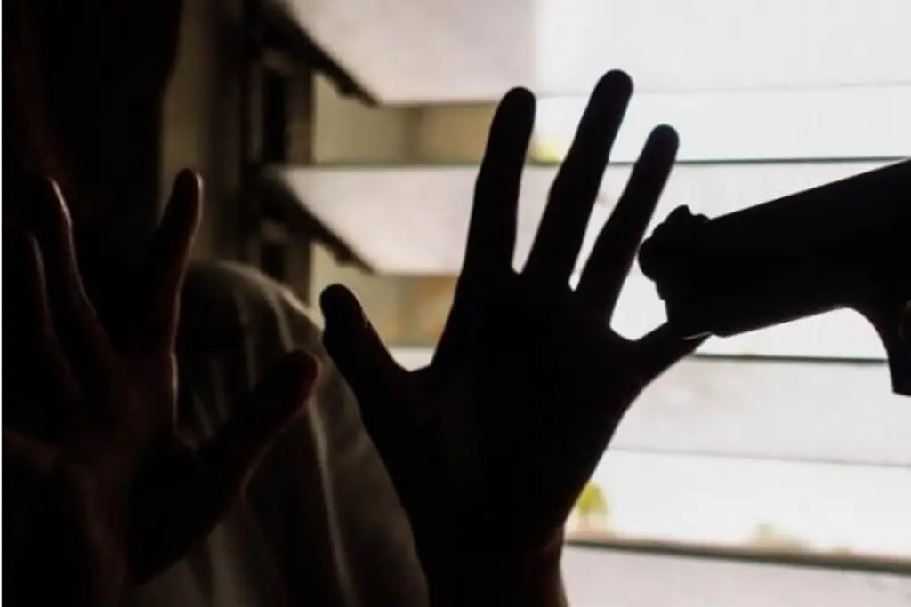 Imagen Ladrones le quitan más de 80 mil pesos a mujer en Veracruz