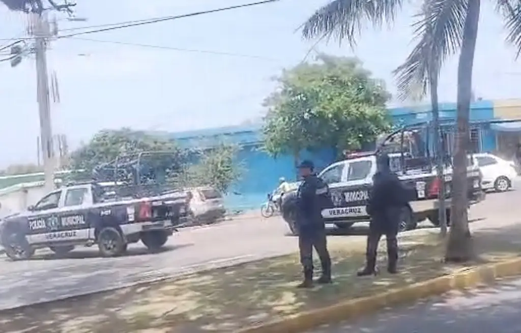 Imagen Catean local del Mercado Malibrán en Veracruz; esto aseguraron 