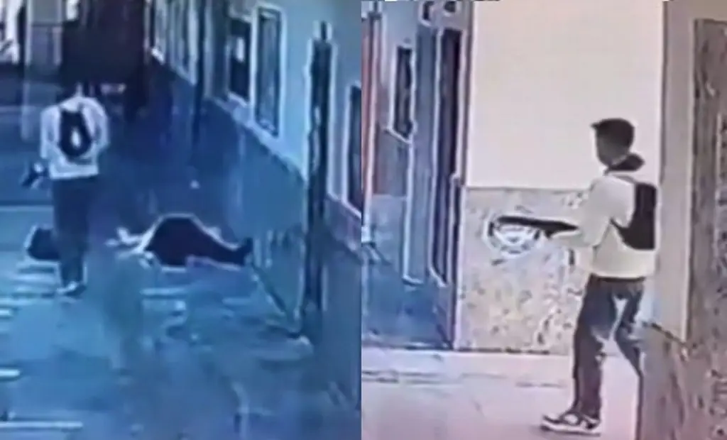 Imagen De 18 años, abre fuego en contra de profesores y alumnos de secundaria en Turquía