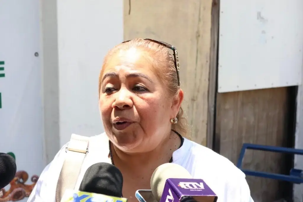 Imagen Cerca del 50% de manglar ha desaparecido en Boca del Río señala sociedad protectora del manglar