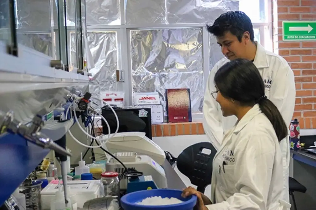 Imagen UNAM realiza rastreo celular para entender y diagnosticar enfermedades autoinmunes raras 