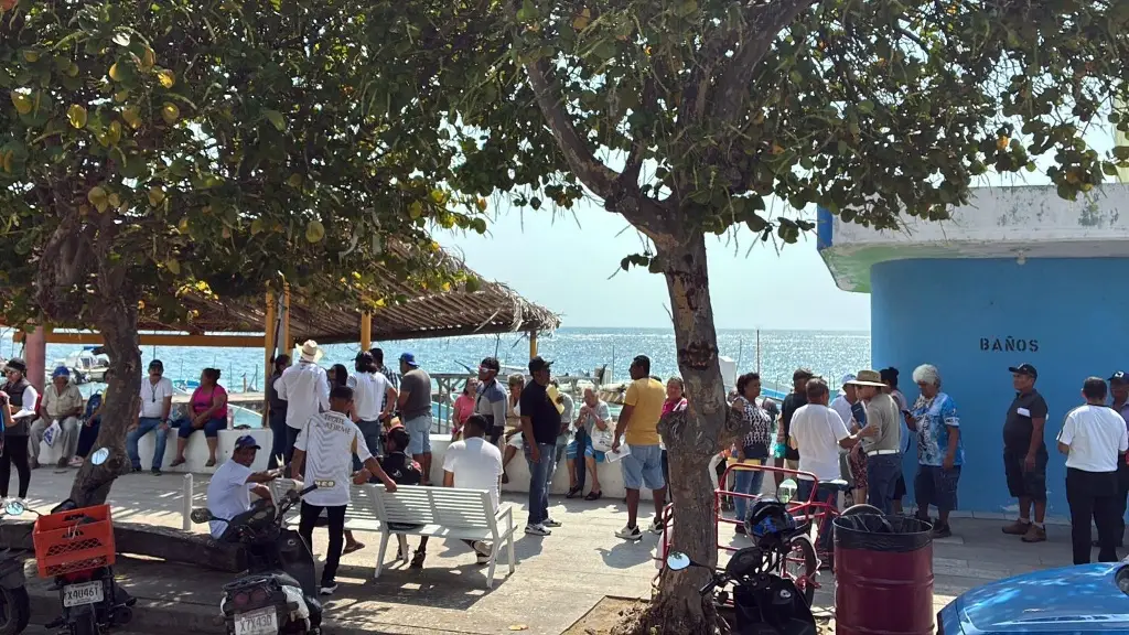 Imagen Inicia censo de pescadores en Veracruz, ¿para qué?