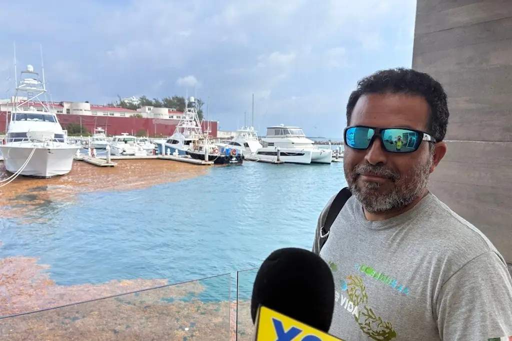 Imagen ¿Qué es el sargazo y qué provoca su llegada a Veracruz?