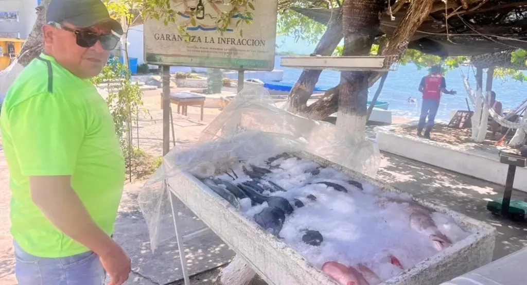 Imagen Pescadores ponen a venta directa el producto de su pesca diaria en Boca del Río