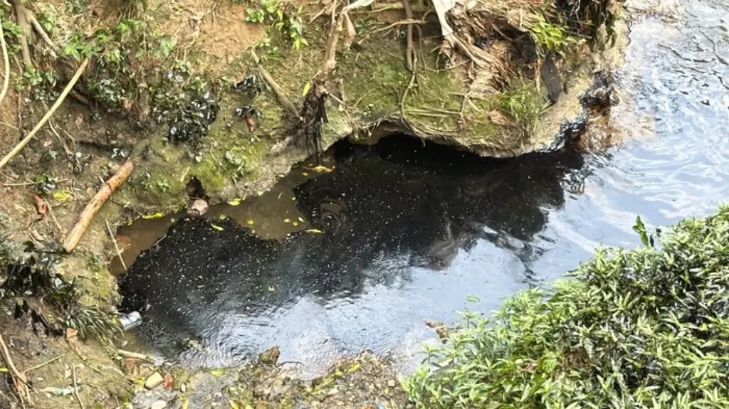 Imagen Habitantes exigen limpieza por petróleo tras lluvias al norte de Veracruz 