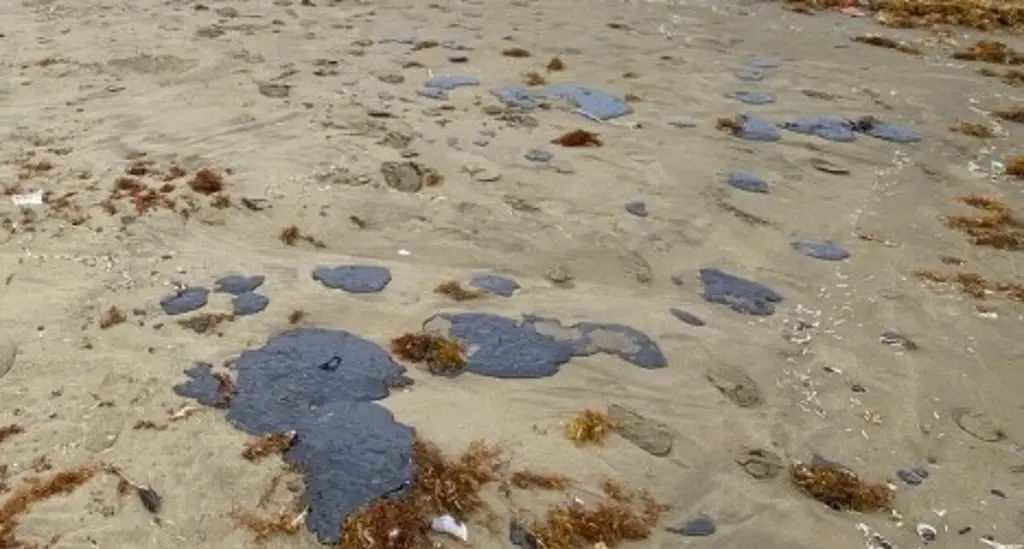 Imagen Rocío Nahle reitera que se ha atendido y limpiado manchas de petróleo en playas de Veracruz