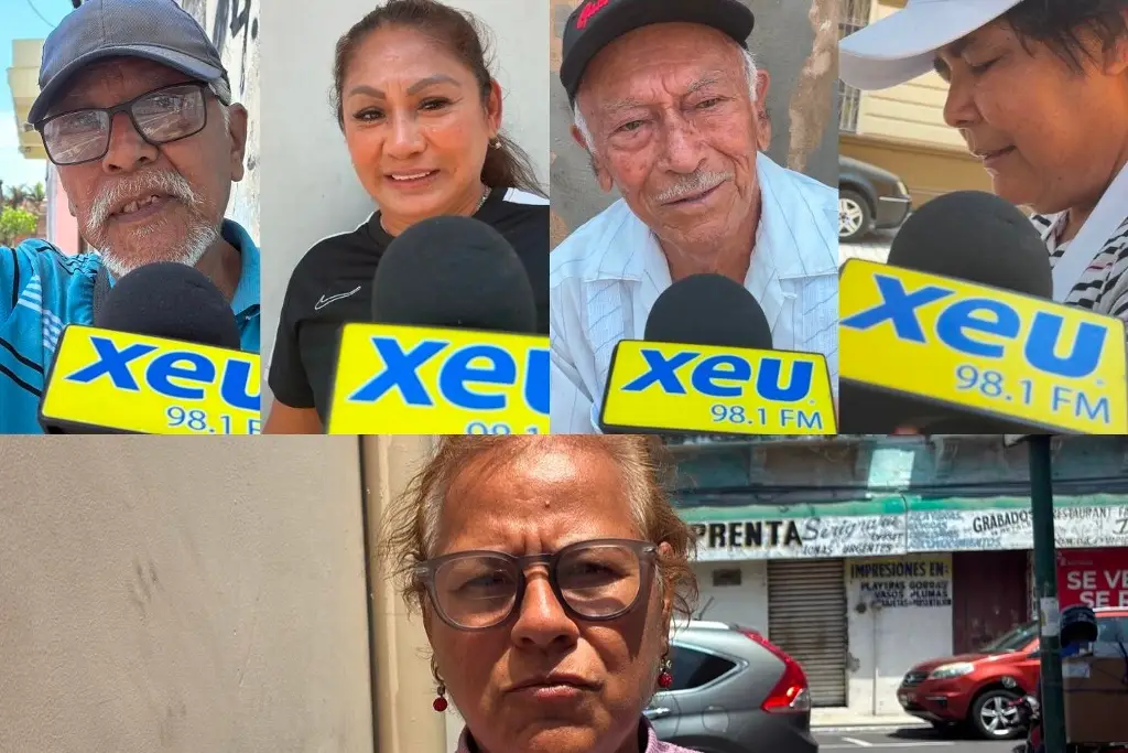 Imagen ¿Dónde plantar árboles de  roble y guayacán? Veracruzanos opinan